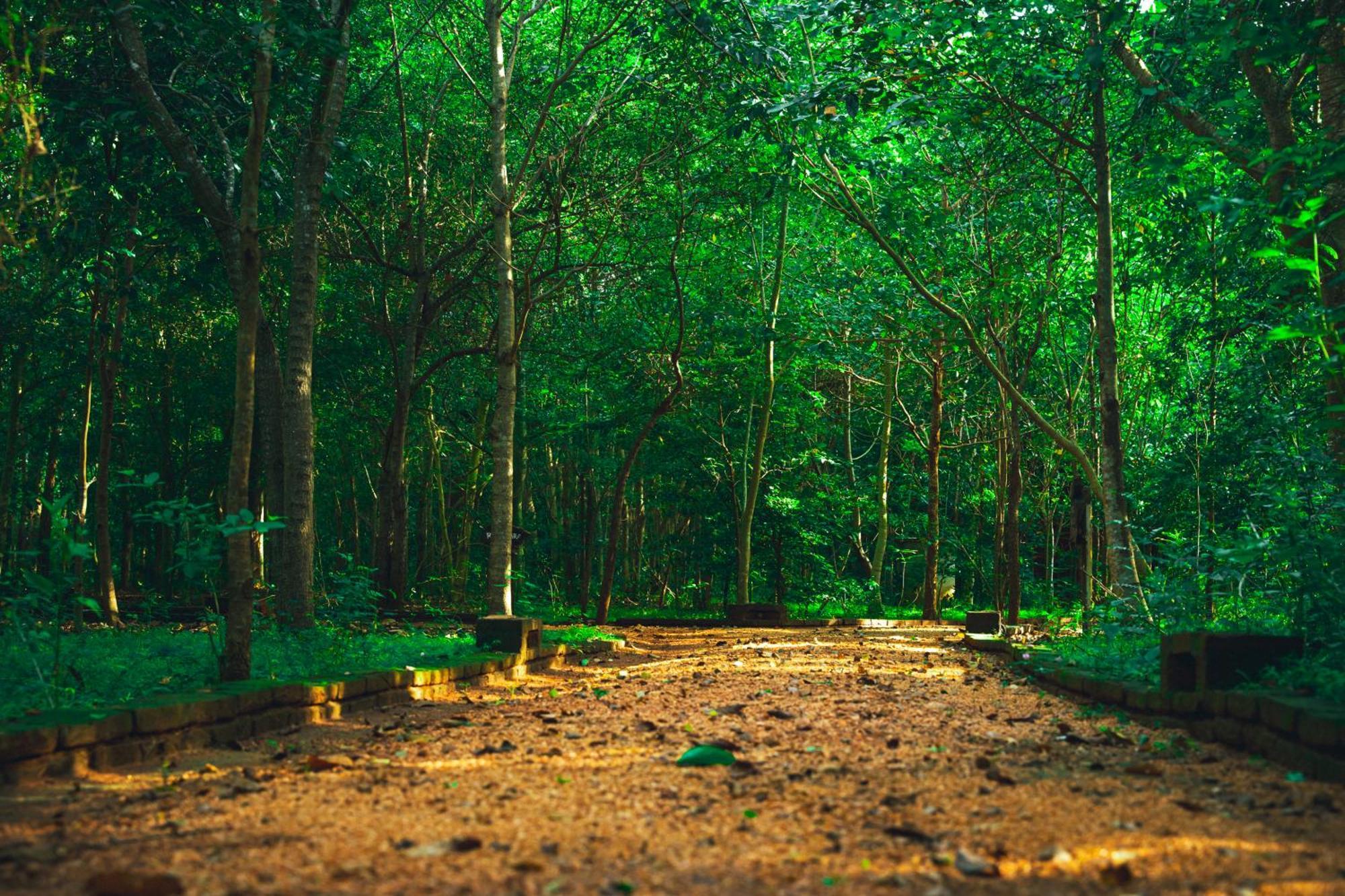 Kaala Kalaththewa Luxury Eco Resort Anuradhapura Exterior foto